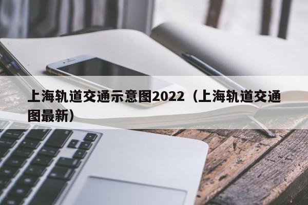 上海轨道交通示意图2022（上海轨道交通图最新）
