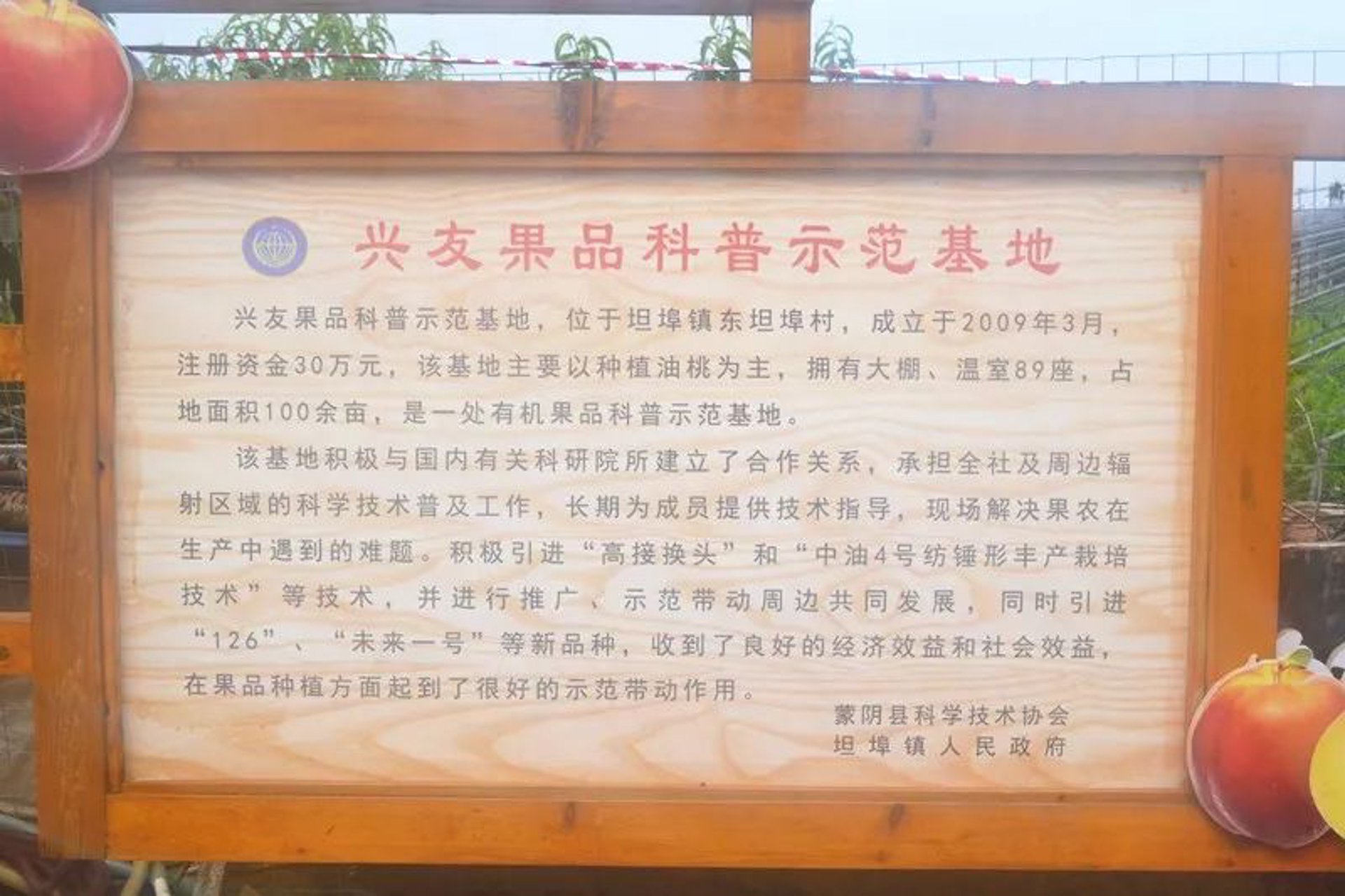 楔埠电子商务